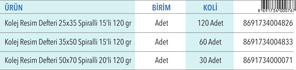 Kolej Spiralli Resim Defteri 25x35 / 35x50 / 50x70 15'li (120 gr)