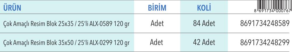 Çok Amaçlı Renkli Resim Blok 25x35 25'li (120 gr)