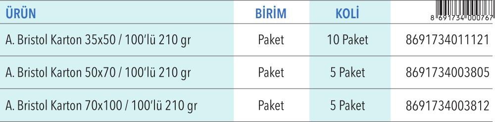 Amerikan Bristol Kartonlar 35x50 / 50x70 / 70x100 (210 gr)