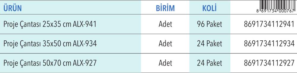 Proje Çantası