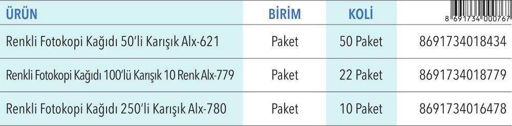 Renkli Fotokopi Kağıtları Karışık Renkler A4 100'lü (80 gr)