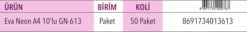 Eva Neon A4 10'lu Karışık