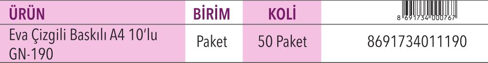 Eva Çizgili Baskılı A4 10'lu Karışık