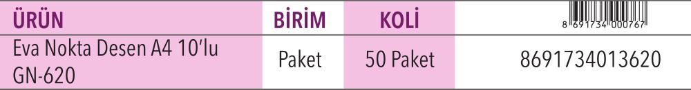 Eva Nokta Desen A4 10'lu Karışık