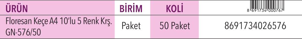 Floresan Keçe A4 10'lu Karışık