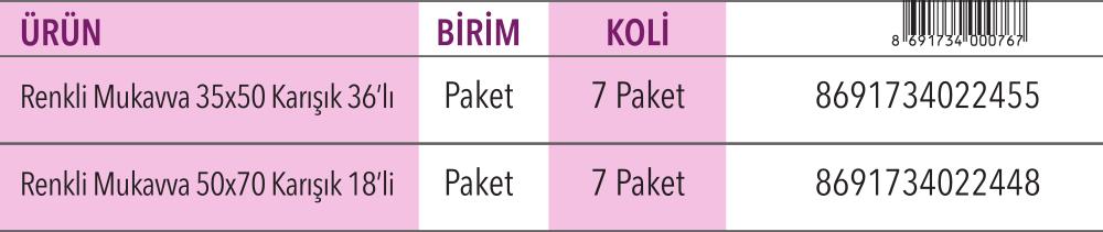 Renkli Mukavva 35x50 / 50x70 Karışık 36'lı