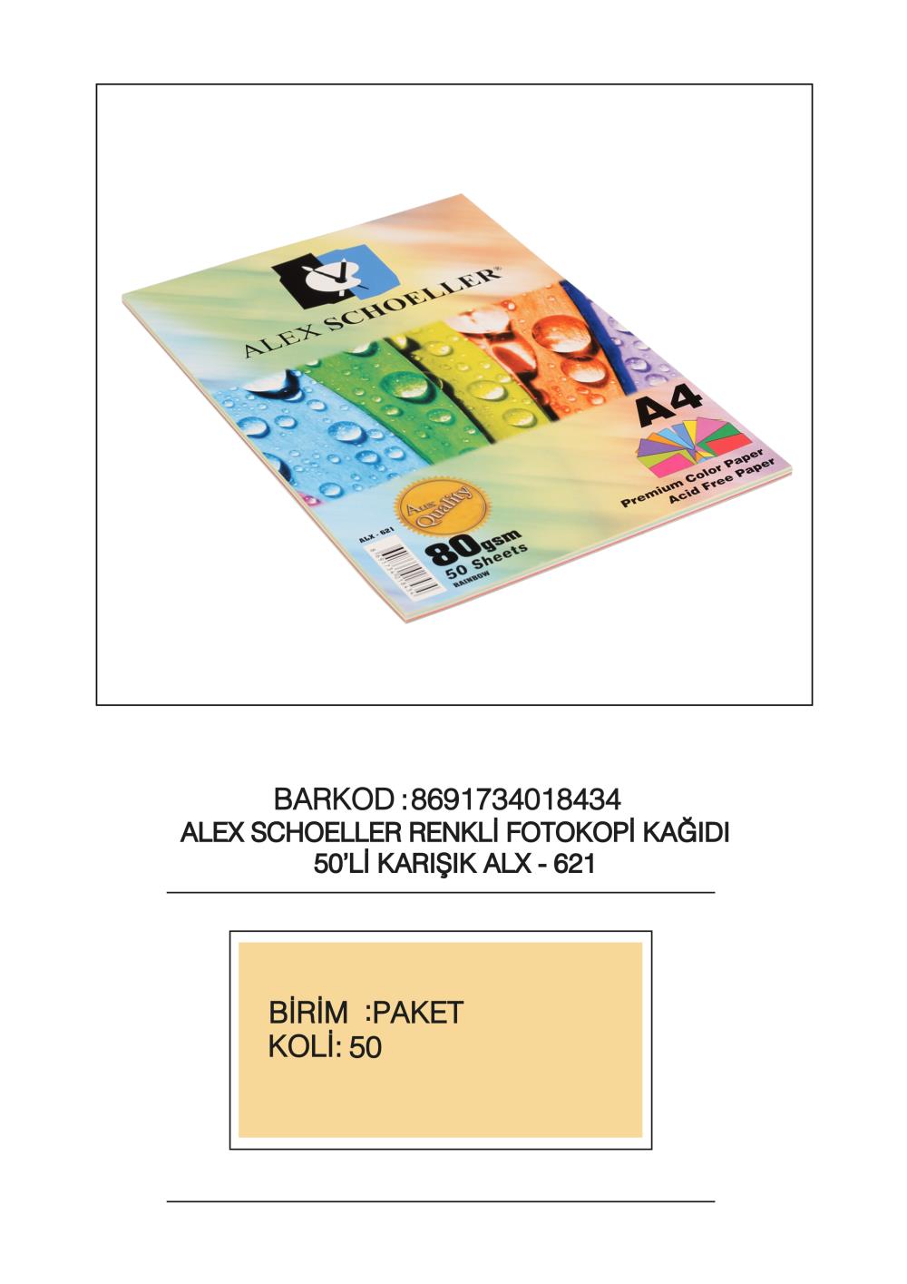 Renkli Fotokopi Kağıtları Karışık Renkler A4 100'lü (80 gr)