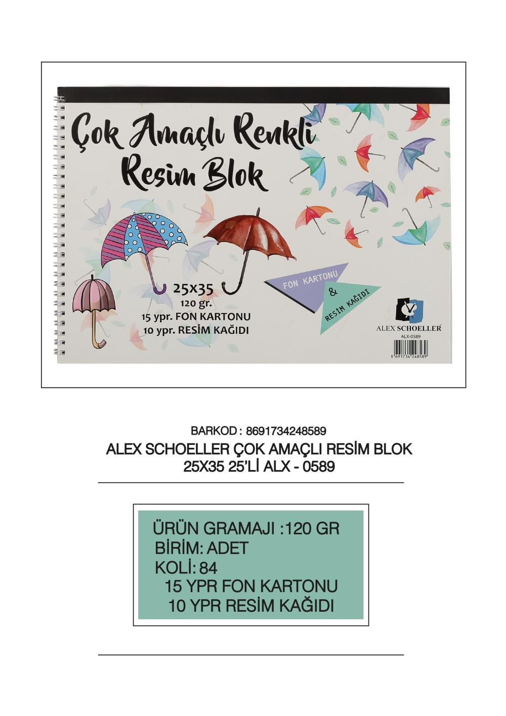 Çok Amaçlı Renkli Resim Blok 25x35 25'li (120 gr)