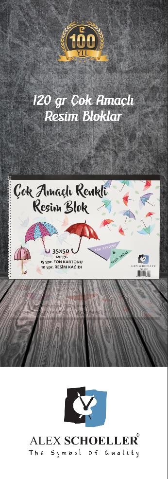 Çok Amaçlı Renkli Resim Blok 25x35 25'li (120 gr)